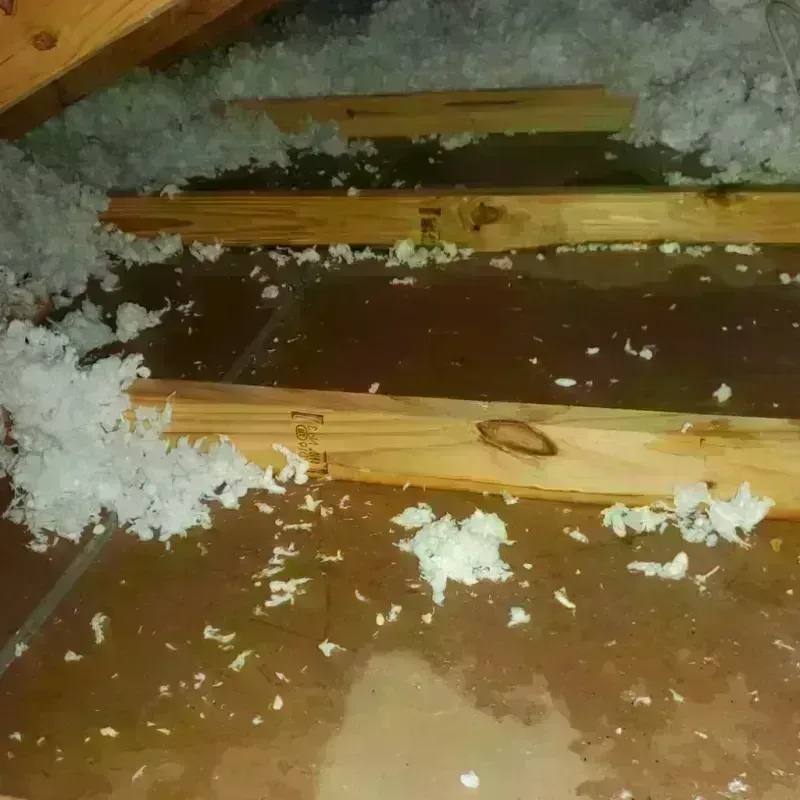 Attic Water Damage in Truth or Consequences, NM