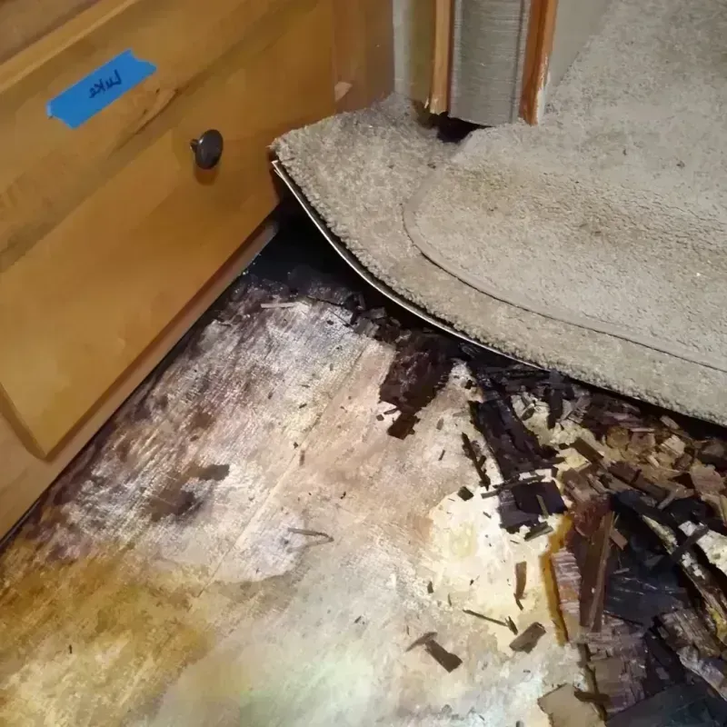 Wood Floor Water Damage in Truth or Consequences, NM